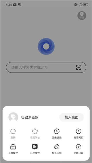 极致浏览器网页版截图3