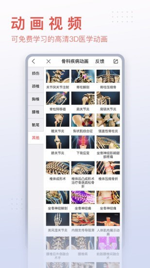 3Dbody艺用完整版