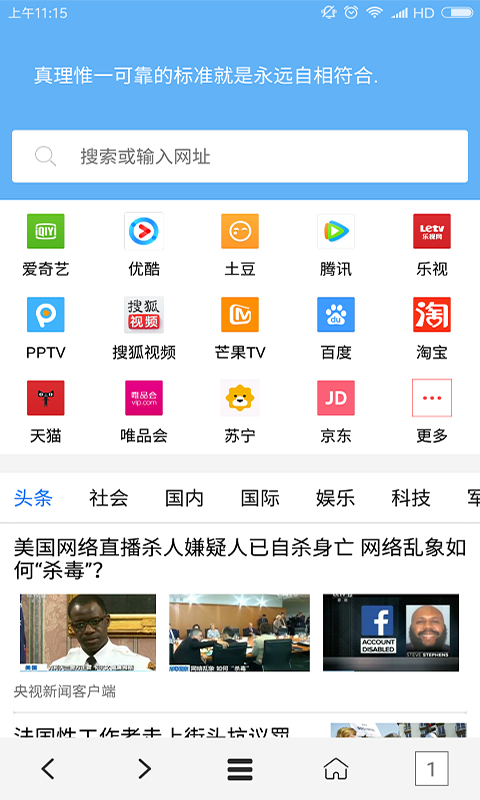 vip浏览器app去广告版截图3