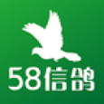 58信鸽新版