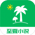 至夏小说完整版