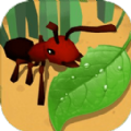 蚂蚁进化3d蜜蜂boss精简版