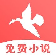 飞鸟免费小说最新版