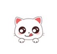DIY与壁纸网页版