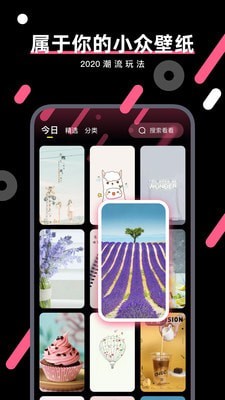 桔子壁纸最新版