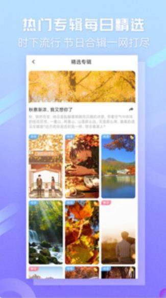 嘀嗒壁纸最新版截图3