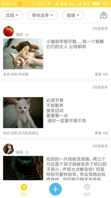 宠物领养官方版