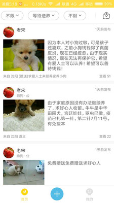 宠物领养官方版