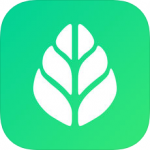 SGreen浏览器手机版
